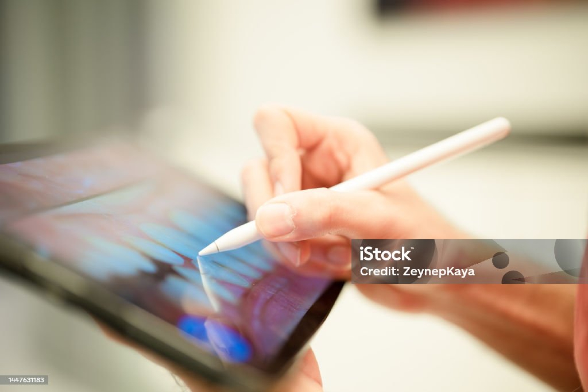 Software support services. stylus on an ipad screen